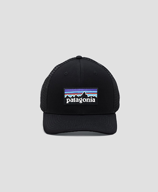 Patagonia Cap