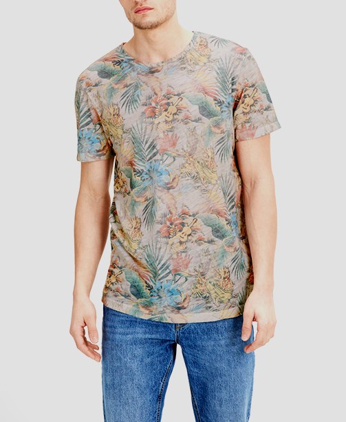 Jack & Jones T-Shirt an Model