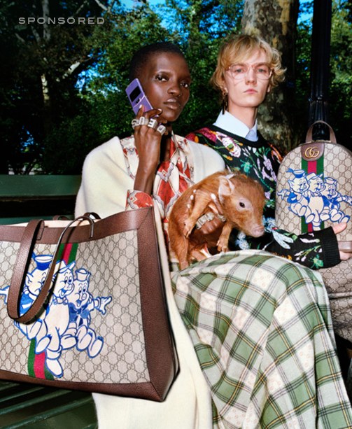 Gucci 3 Schweinchen