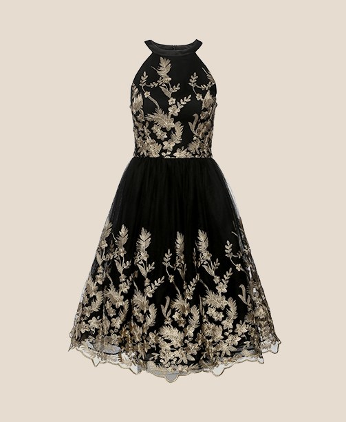 Spitzenkleid Chi Chi London